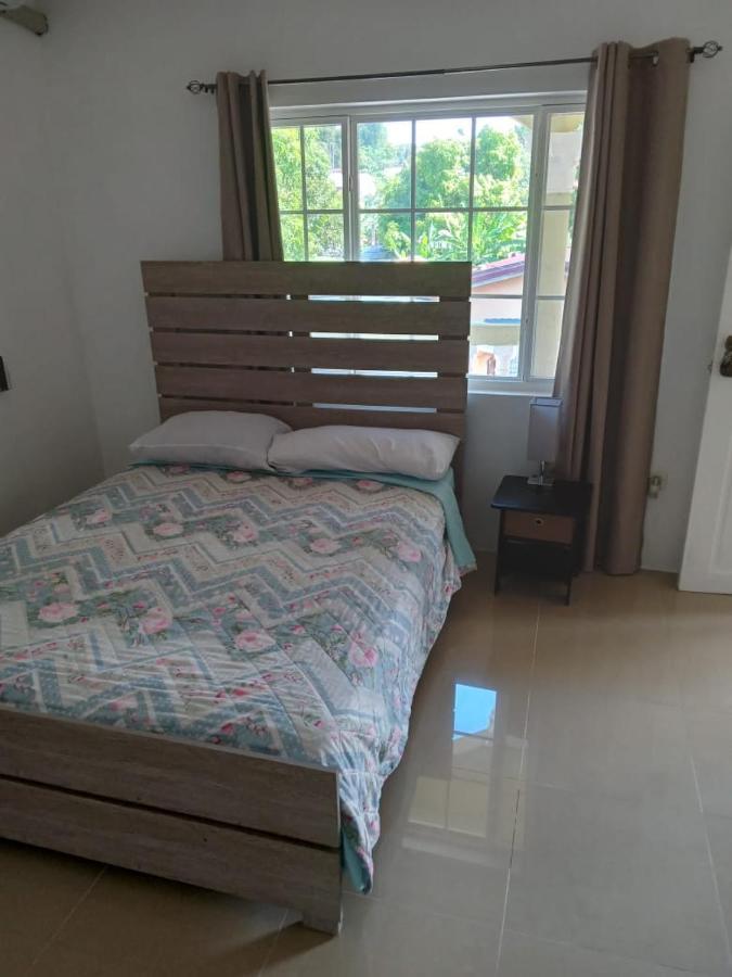 Comfy Guest Rooms Port Antonio Bagian luar foto